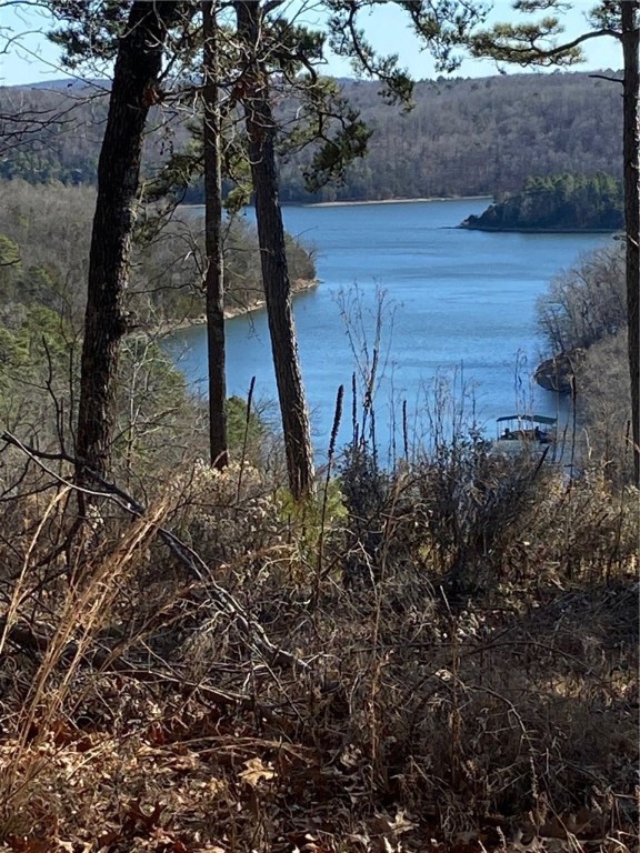 Remarkable Land to build a Lake Home on with picture perfect Beaver Lake View. 15 +/- acres that has a great entrance into a large level area to build and also has sloping hills to either side. Property includes parcel # 18-00823-001 ( 5+ acres) that goes with the listing parcel of 9+ for a total of 15 acres. Also has an abundance of wildlife.