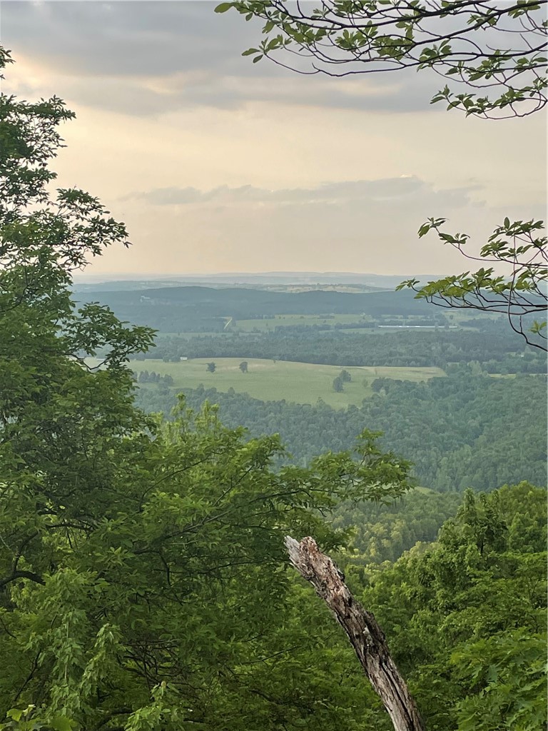 Round Mountain Estates - Land