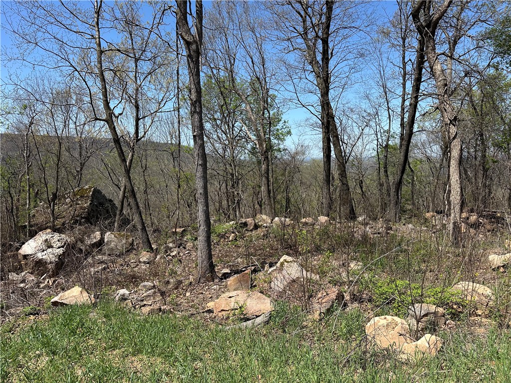 Round Mountain Estates - Land