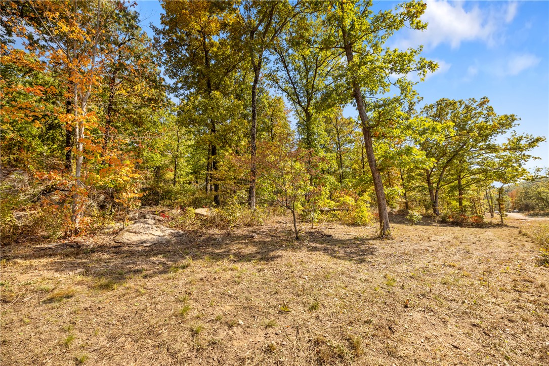 Round Mountain Estates - Land