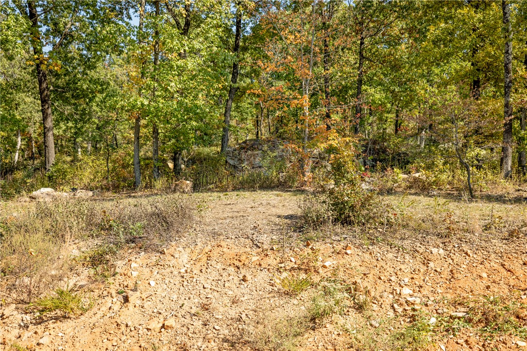 Round Mountain Estates - Land