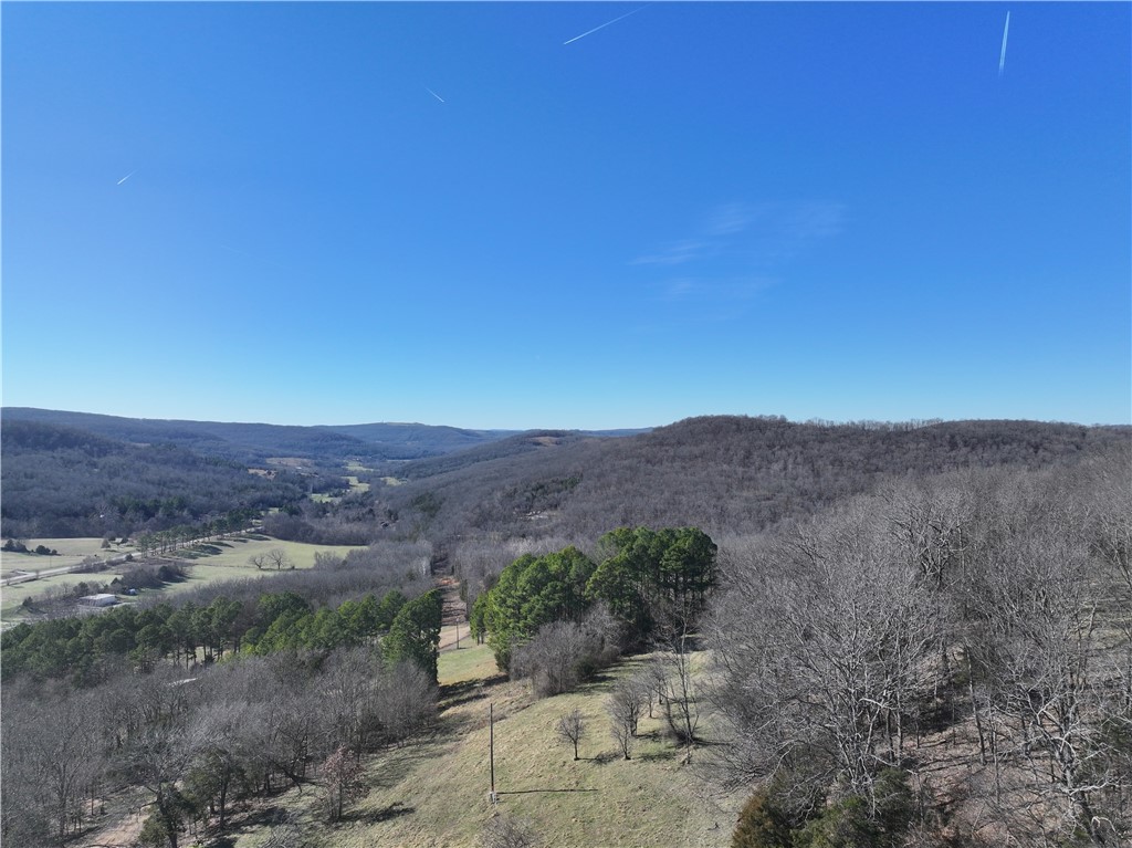 Discover 61+/- stunning acres less than 1 mile off Hwy 21 in Madison County, AR. This rare property features 4 ponds, with rural water and electric available at the county road. Wildlife is abundant—deer, bear, and turkey roam freely. Explore the existing trails, wet-weather creeks, and a well-kept cabin perfect for weekend getaways or hunting retreats. The southern portion offers multiple prime build sites with breathtaking views, a beautiful blend of timber and pasture, and excellent potential for recreation, a dream home, or livestock. A true Ozarks gem you do not want to miss!