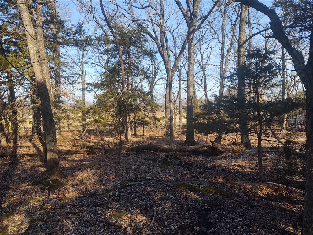 None - Land