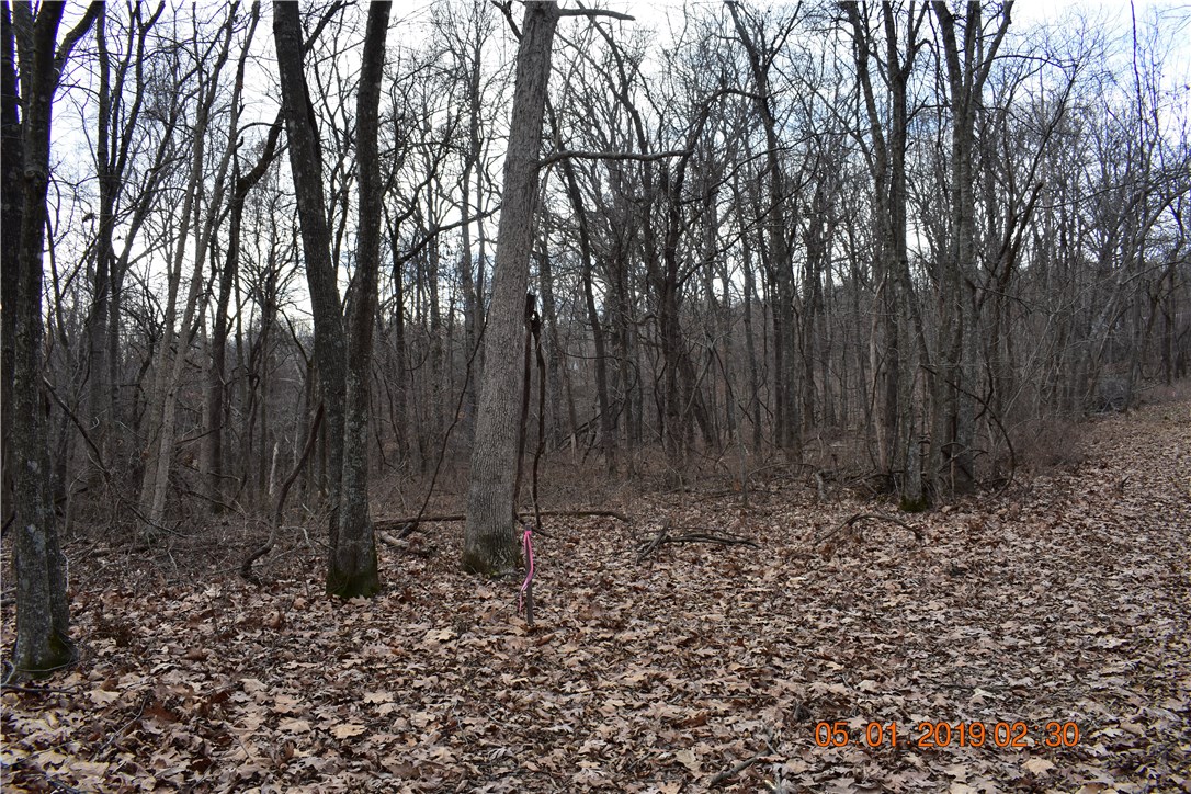 Good building lot  with road on 2 sides  close to lake