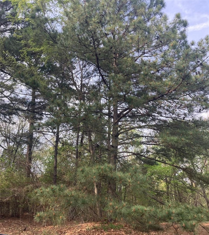Build your dream home on this beautiful 1.067-acre lot in a quiet neighborhood in London, Arkansas. Located less than 10 minutes from Russellville with easy access to I-40, this property offers the perfect balance of small-town living and big-city convenience. 

Enjoy beautiful water views from the street, nearby water access, and a peaceful neighborhood setting. All utilities are available, making this an excellent opportunity for your future homesite. There is ample space for a stick-built home, with no minimum square footage requirements. 

Manufactured homes and other off-site-built homes are not permitted. 

Two additional adjoining lots are also available for purchase (see last picture), offering the opportunity to expand your property by an additional 3.46 acres for added privacy, recreation, or future development potential. 

Property images provided in this listing are approximate and for reference only. Buyers are encouraged to obtain a survey to verify exact property boundaries and dimensions.