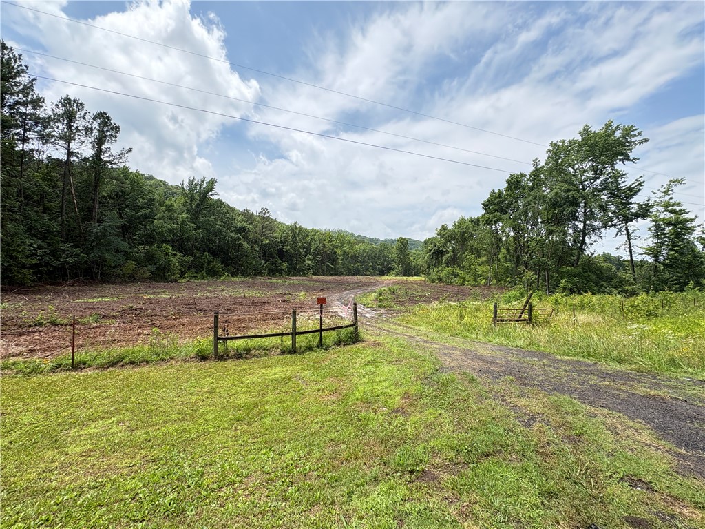Take a look at this 50.65+/- acre tract along SR 164 W just north of Dover, Arkansas. About 14 acres have recently been opened up, giving you a great spot for a home, cabin, barndominium, food plots, or whatever you have in mind. The rest of the property is wooded and includes a pond and an old logging road that runs through the timber.

Two wet-weather creeks cross the property, and there are nice views of the mountain across the road. This tract has approximately 200 yards of road frontage with public water, electricity, and fiber internet available at the street! If you enjoy the outdoors, you'll appreciate being just a short drive from the Ozark National Forest, Big Piney Creek, Long Pool Recreation Area, Mack's Pines, and Moccasin Gap. Whether you're looking for hunting land, a recreational getaway, or acreage to build on, this unrestricted property is worth a look. Conveniently located just 9 minutes from Dover and 21 minutes from downtown Russellville.