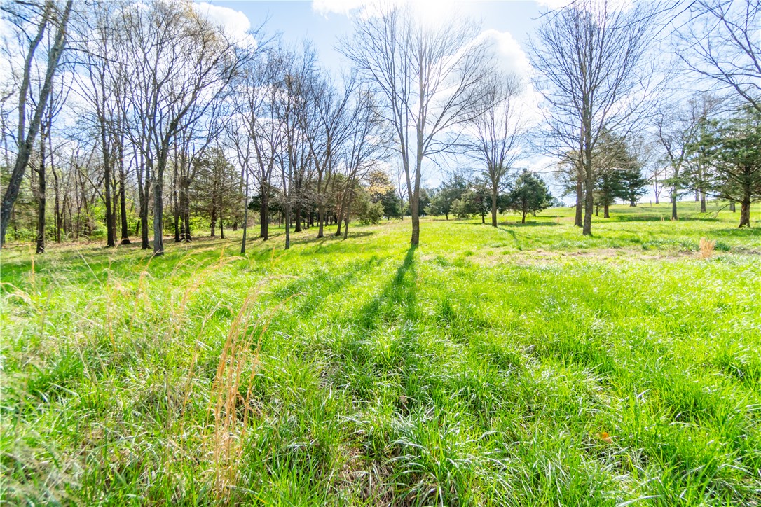 Trammel Mountain Estates - Land