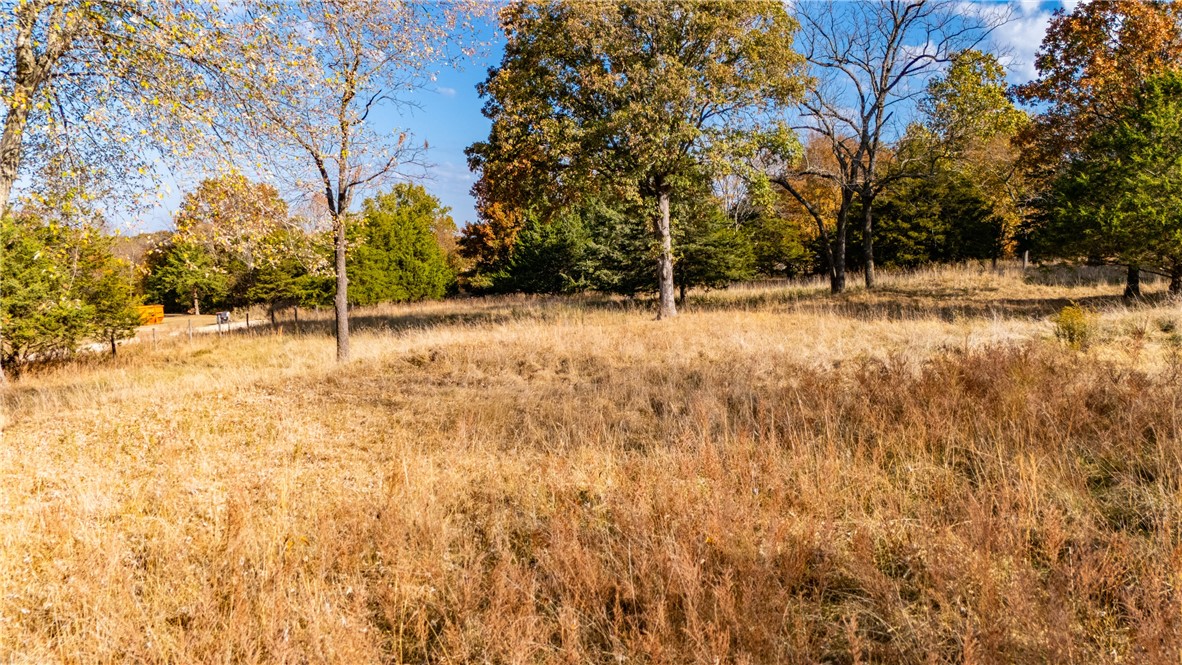 Trammel Mountain Estates - Land