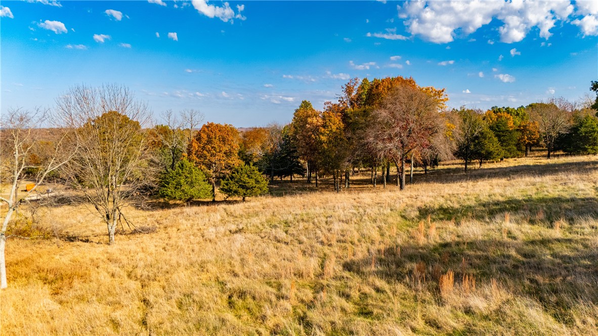 Trammel Mountain Estates - Land