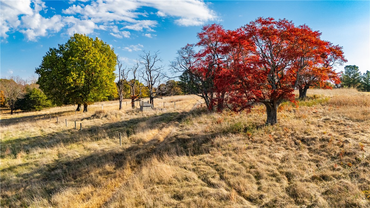 Trammel Mountain Estates - Land