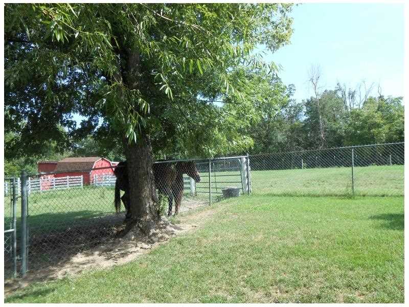 Rural - Residential