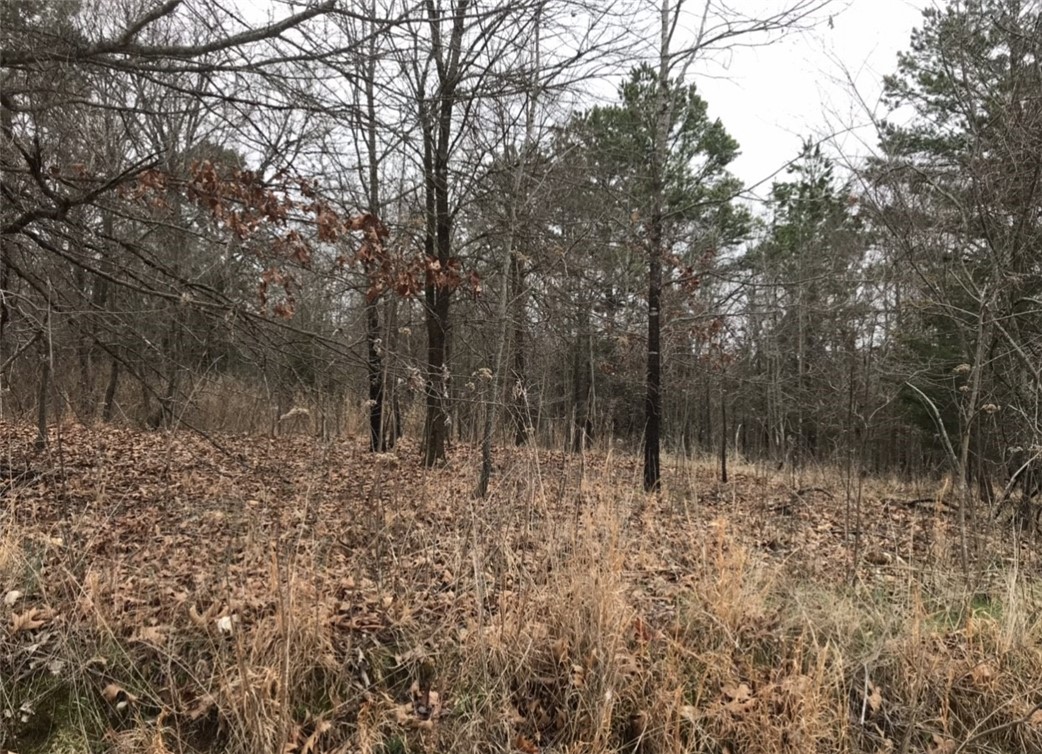 Glen Haven - Land
