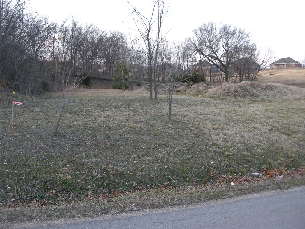 Farmington Outlots - Land