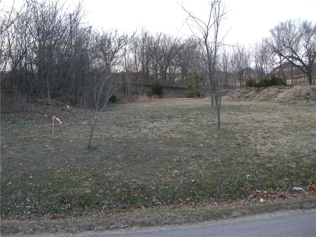 Farmington Outlots - Land