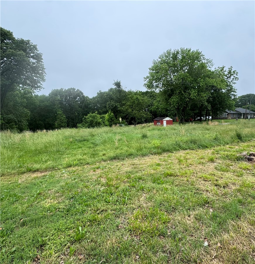 Medlin Sub Pea Ridge - Land