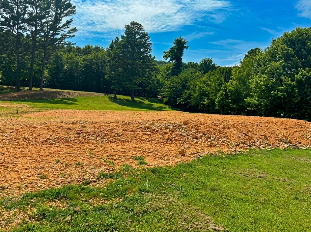 West Fork Outlots - Land