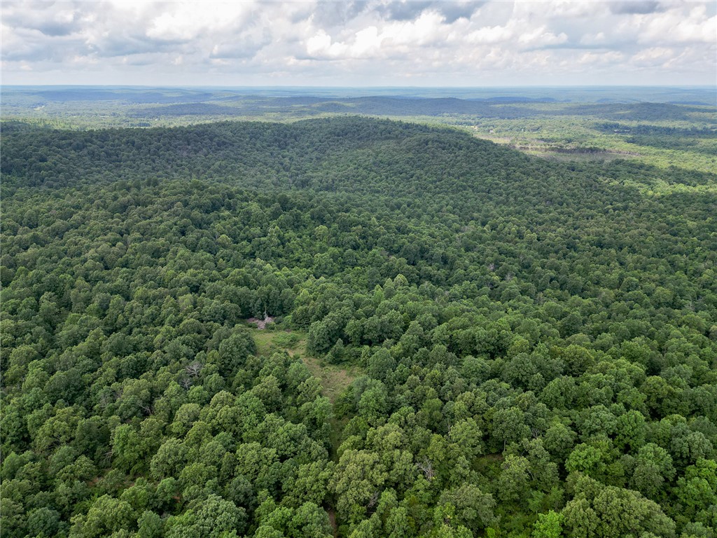 Discover a true 160-acre quarter section of hunting and recreational land on Summerfield Creek Road near Williford, Arkansas. This square tract features approximately 260 feet of elevation change with hardwood ridges, cedar thickets, benches, draws, and seasonal drainages. A year-round freshwater spring, additional seasonal springs, and natural drainages provide dependable water and outstanding wildlife habitat. An extensive trail system offers easy access throughout the property. Multiple food plot openings, established deer stand locations, and abundant deer and turkey sign make this a turnkey hunting tract. The mixed hardwood and cedar timber was selectively harvested approximately 30 years ago, creating diverse cover and browse. Gated county road access, native blackberry patches, and several potential cabin or campsite locations complete this exceptional Ozark property. Whether for hunting, recreation, or investment, this tract offers the size, habitat, and privacy that are increasingly difficult to find.