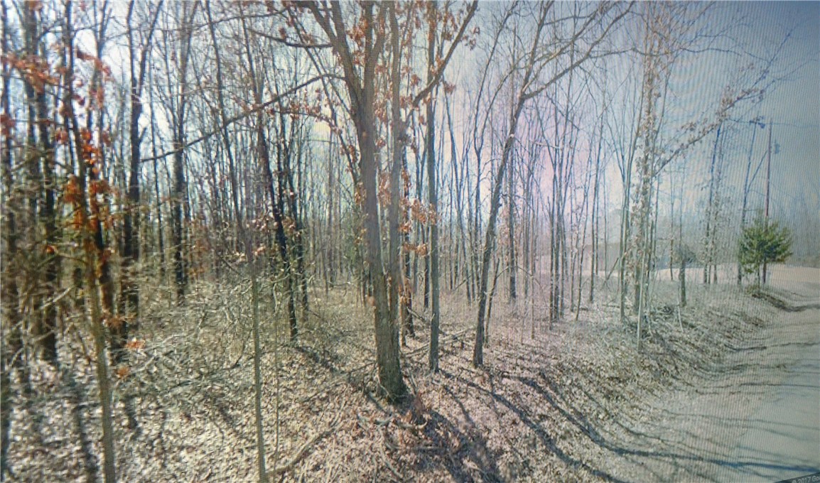 Beautiful lot in great sub-division. Easy access to Loch Lomond and other amenities Bella Vista has to offer.