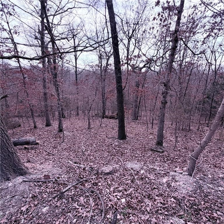 Looking for 2 adjoining lots? These are very nice building lots with sewer avail. minutes from Blowing Springs and bike trails, shopping and other amenities Bella Vista has to offer. Quiet cul de sac location with common property behind.