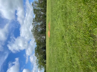 Hard to find small acreage tract. Level, mostly open with some trees, City water, and electric. Benton County platted subdivision with Street built to county specs.
Owner financing offered
