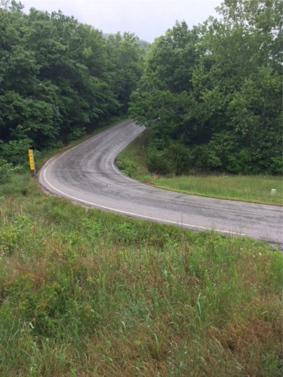 Nice Holiday Island lot, mobiles allowed, wooded on all sides and all paved roads to it. Priced to sell!! City utilities at the road, only a few hundred yards from the fire station. Close to great fishing, golf, and Eureka Springs shopping and dining.