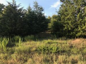 Other - Land