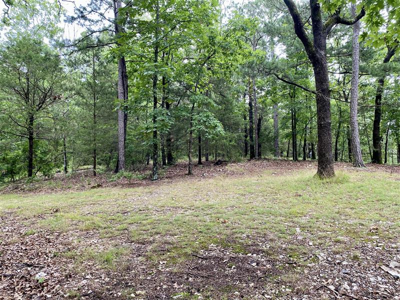 Land for Sale in Eureka Springs AR featuring 6.18 acres on desirable Passion Play Road. This offering includes three separate parcels being sold together and is zoned Single-Family Residential, creating opportunities for multiple home sites, investment potential, or a private estate close to downtown Eureka Springs.

The property is heavily wooded with rolling Ozark terrain and several potential building locations. Located just minutes from shopping, dining, schools, and attractions, it offers a rare combination of convenience and privacy. While situated in the heart of Eureka Springs, the land feels secluded and tucked away from the surrounding area.

Build up to three homes, create a family compound, or enjoy over six acres for your custom home. Properties with multiple parcels, development potential, wooded acreage, and a prime Passion Play Road location are becoming increasingly difficult to find in Eureka Springs.