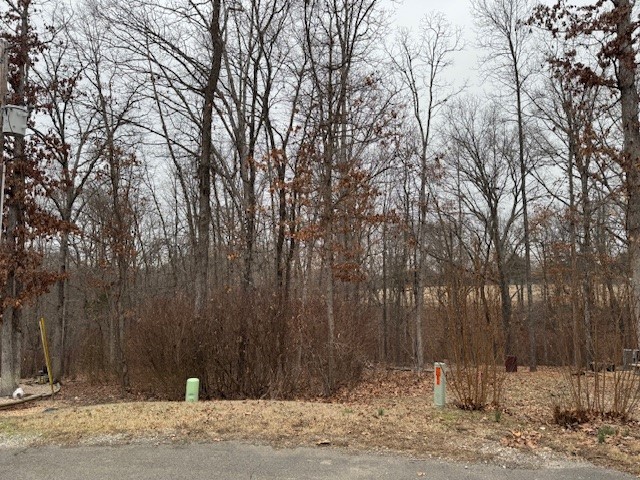 Large lot located in a peaceful, well-established neighborhood with close access to scenic lakes, Metfield Golf Course/Clubhouse, & hiking trails (backs right up to Rago Trail), making it perfect for those who enjoy outdoor activities. This lot HAS BEEN SURVEYED and is ready for you to build your dream home. Located near utilities, including water, sewer, and electricity - easy to get the construction started. Just minutes from major roads, shopping centers, and dining options in Bella Vista, this area offers a blend of tranquility and convenience. Bella Vista offers a vibrant community with amenities such as: 7 golf courses, numerous lakes for boating, fishing, & water sports, over 30 miles of trails for walking, biking, & hiking, and active community events and clubs for all ages. Come take a look!