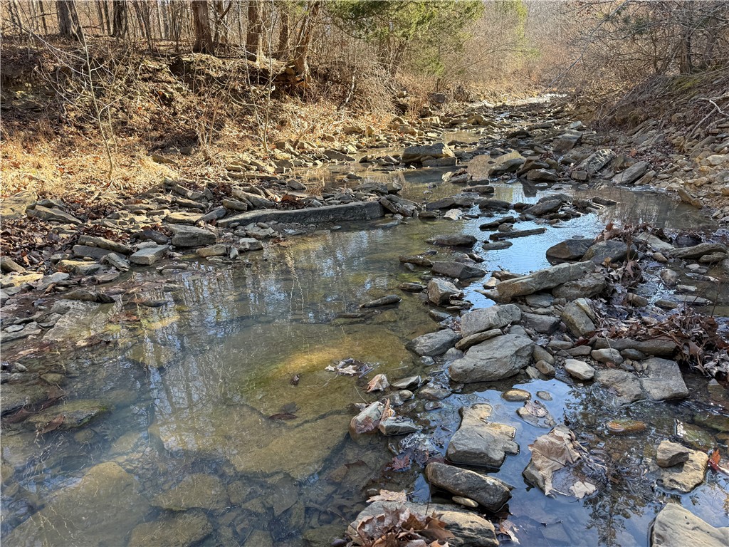 This 120± acre property is located in the southeastern portion of Madison County, near the end of 3370 rd, approximately 4.5 miles from Witter, Arkansas. A year-round creek winds through the lower portion of the property, providing a reliable water source and enhancing the natural beauty of the land. Electricity is already on the property, and remnants of an old trail system are still visible while walking the acreage. Early settlers once occupied the land, leaving behind a historic rock wall that runs parallel to the creek on its south side. With a little dozer work, this tract would be ready to hunt and enjoy immediately. The property offers excellent recreational opportunities and supports abundant wildlife, including deer, bear, turkey, and various small game. This is a unique and special piece of ground with both history and recreational appeal.