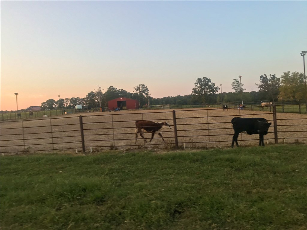. - Farm