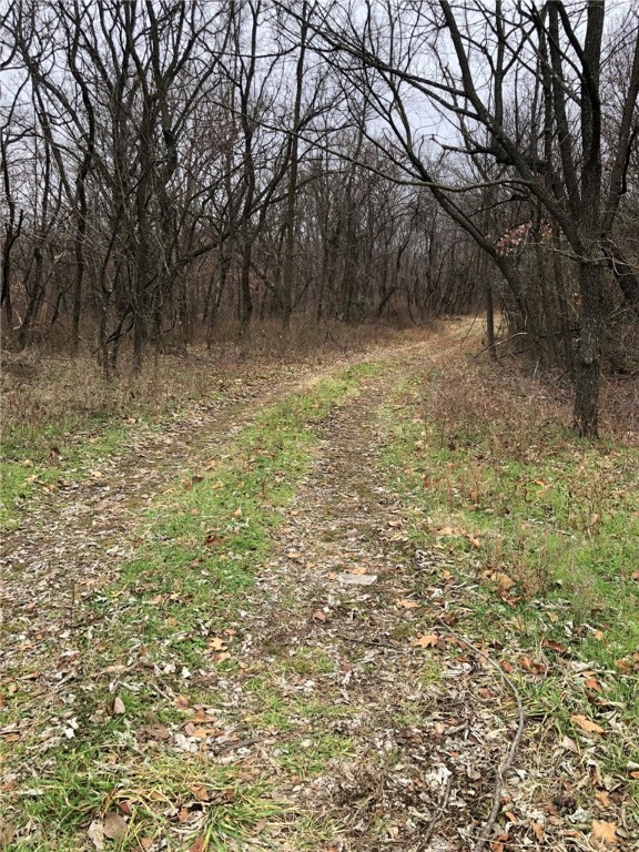 Buildable-sized lot in Bella Vista!! Some builders have already started developing this neighborhood. The wooded lot slopes to common property and is located on the west side of Bella Vista off Arthur Road. The seller has 2 additional properties available; one is adjacent to this lot - MLS#1263407 & 1263413.