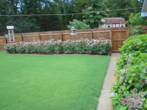 Round Rock Phase 1 & 2 - Residential