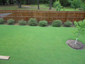 Round Rock Phase 1 & 2 - Residential
