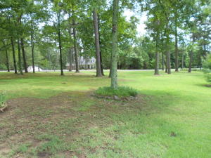 Round Rock Phase 1 & 2 - Residential