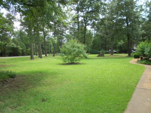 Round Rock Phase 1 & 2 - Residential