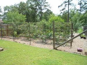 Round Rock Phase 1 & 2 - Residential