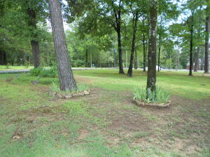 Round Rock Phase 1 & 2 - Residential