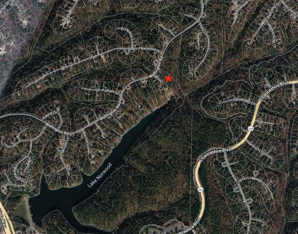 Very nice Bella Vista building lot ready for your dream home. South-facing, pie-shaped lot on a quiet cul-de-sac near Lake Norwood. Utilities at the street. On-site septic needed.
