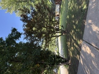 Gabriel Park Sub Siloam Spgs - Residential