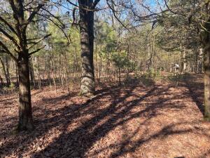 Looking to build that dream home.......look no farther for the perfect piece of land to build on. On Crow Mountain, 3.4 acres nestled in the woods, clear and start your dream soon. 3.40 acres