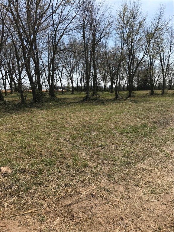 If you need land for your cows this a great place to run them! Owner is currently replacing the barbed wire fencing and has done extensive work clearing the land.
