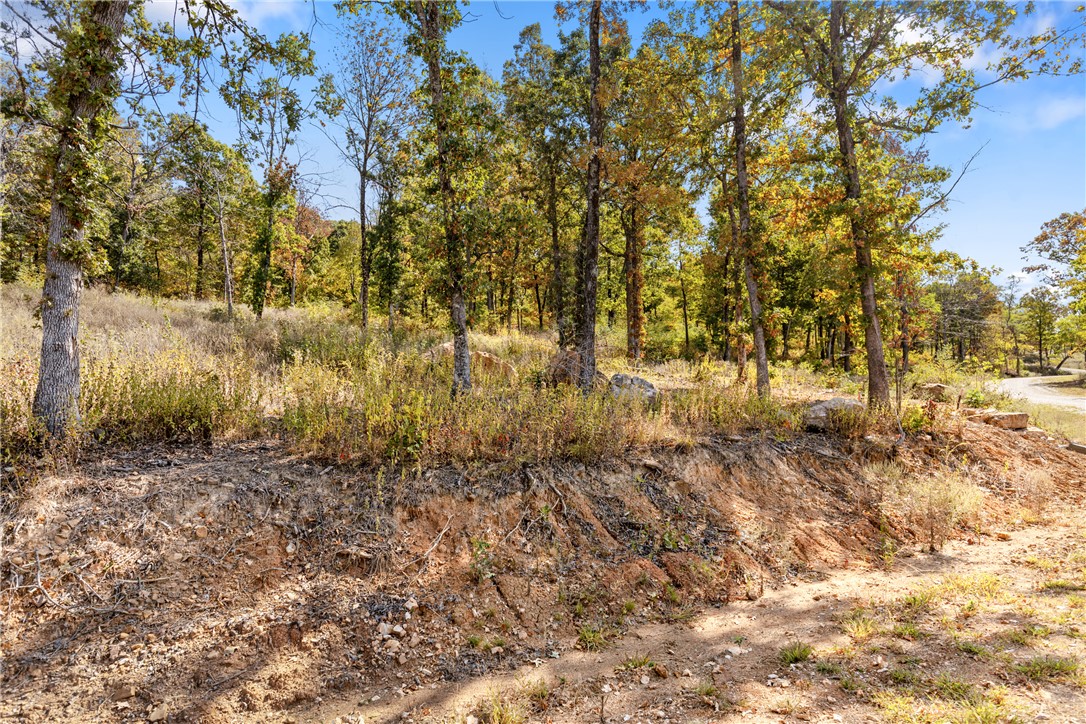 Round Mountain Estates - Land