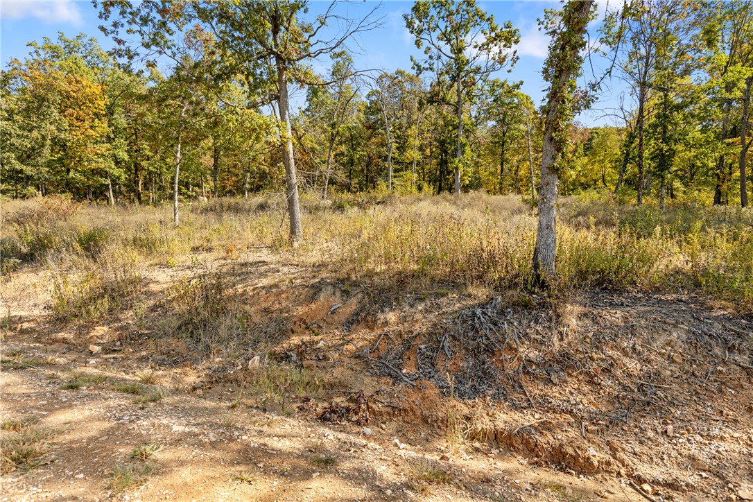 Round Mountain Estates - Land
