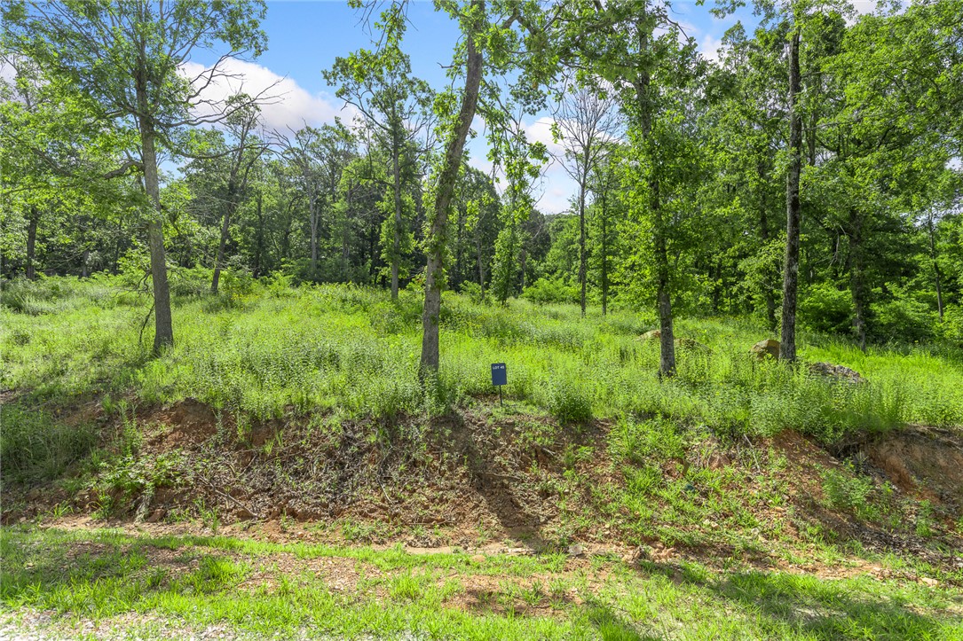 Round Mountain Estates - Land