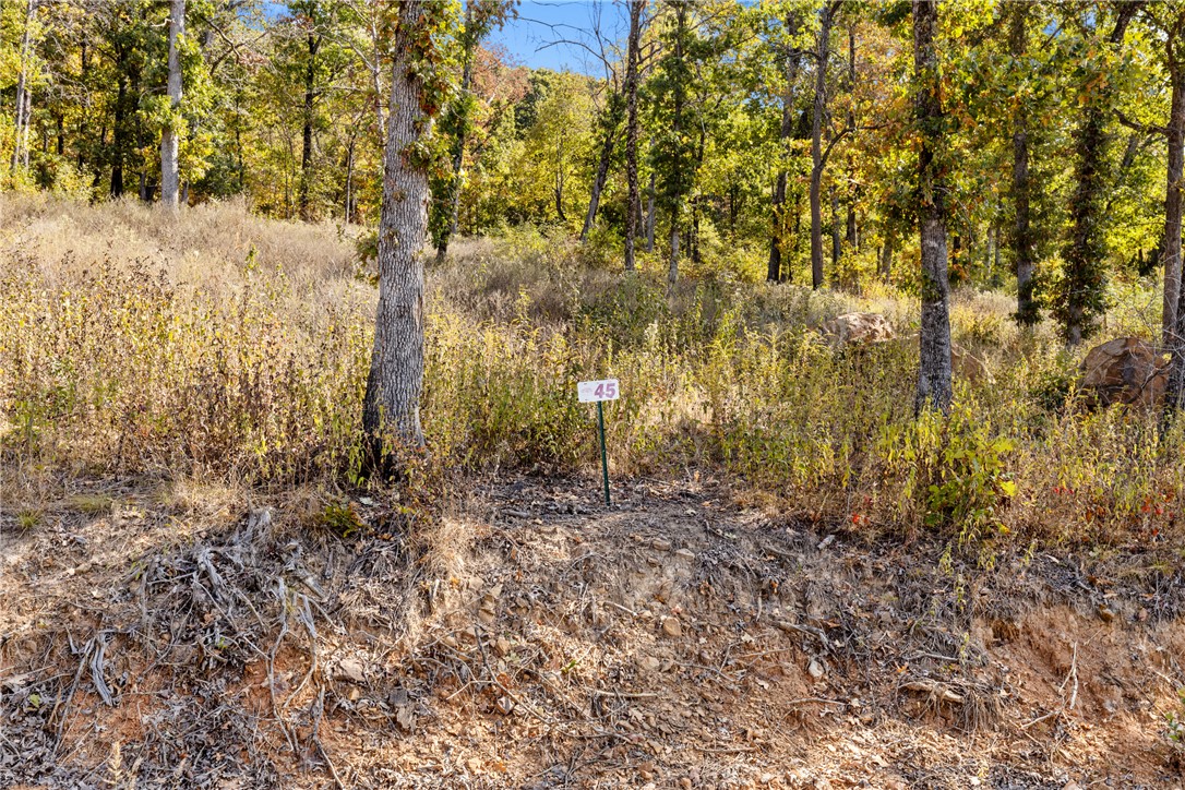 Round Mountain Estates - Land