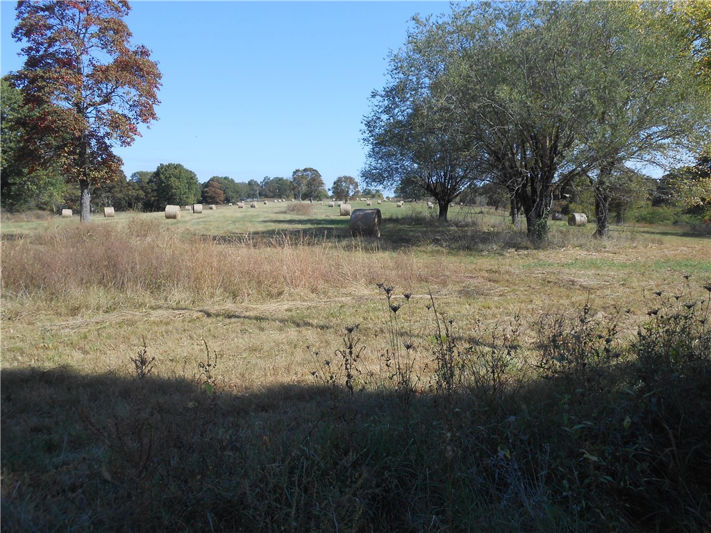 20 acres mostly open, part wooded