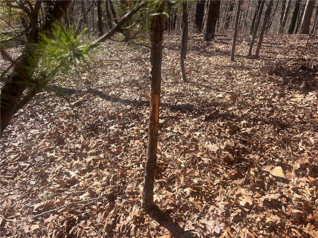 03-19-27 - Land