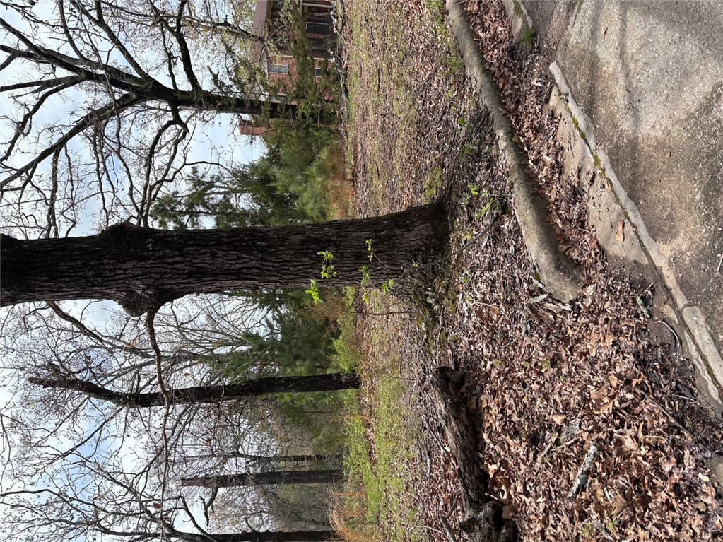 Great opportunity to own a 0.90-acre lot in an established neighborhood, just minutes from Hickory Creek Marina and access to Beaver Lake. This partially wooded property offers a great mix of privacy and usability, with a gentle slope toward the back that could work well with a variety of home designs. Enjoy a peaceful, natural setting while staying close to the water—perfect for boating, fishing, and soaking in that relaxed lake lifestyle. If you’re looking for a place to build and enjoy life near the lake, this one is worth a look.