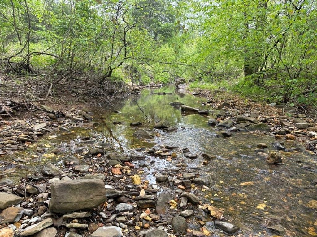 This 10 acres is located at 493 Madison 2220 in Huntsville, AR. Starring rolling timber, moss covered rocks, and a beautiful creek running throughout, this property draws deer and other small game. If you’re looking for a great recreational property to hunt or just to enjoy nature- this is the spot for you. This property is equipped with electricity and has rural water at the road allowing you to build your dream home with rural surroundings. Come check out these beautiful views that make this property so special!