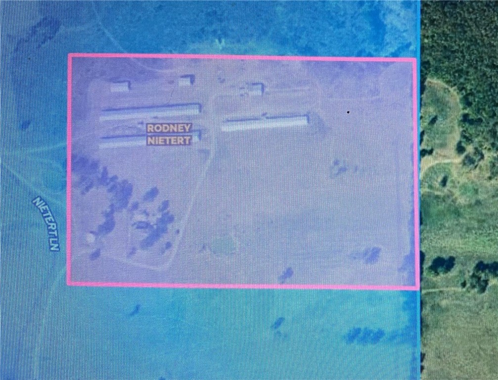 Chickens and country - Farm